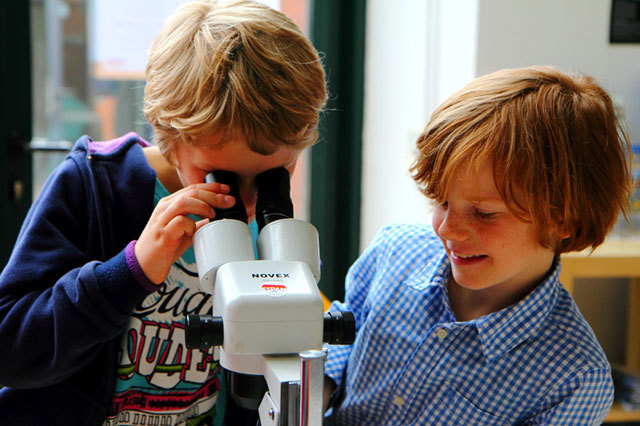 Zwei Jungen, ein Mikroskop